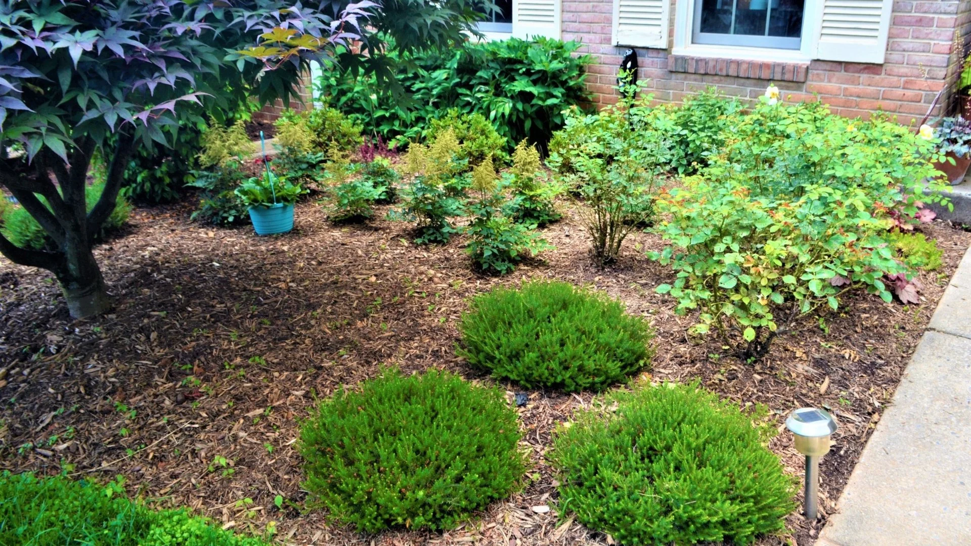 How to Choose the Right Plants for Your Landscape