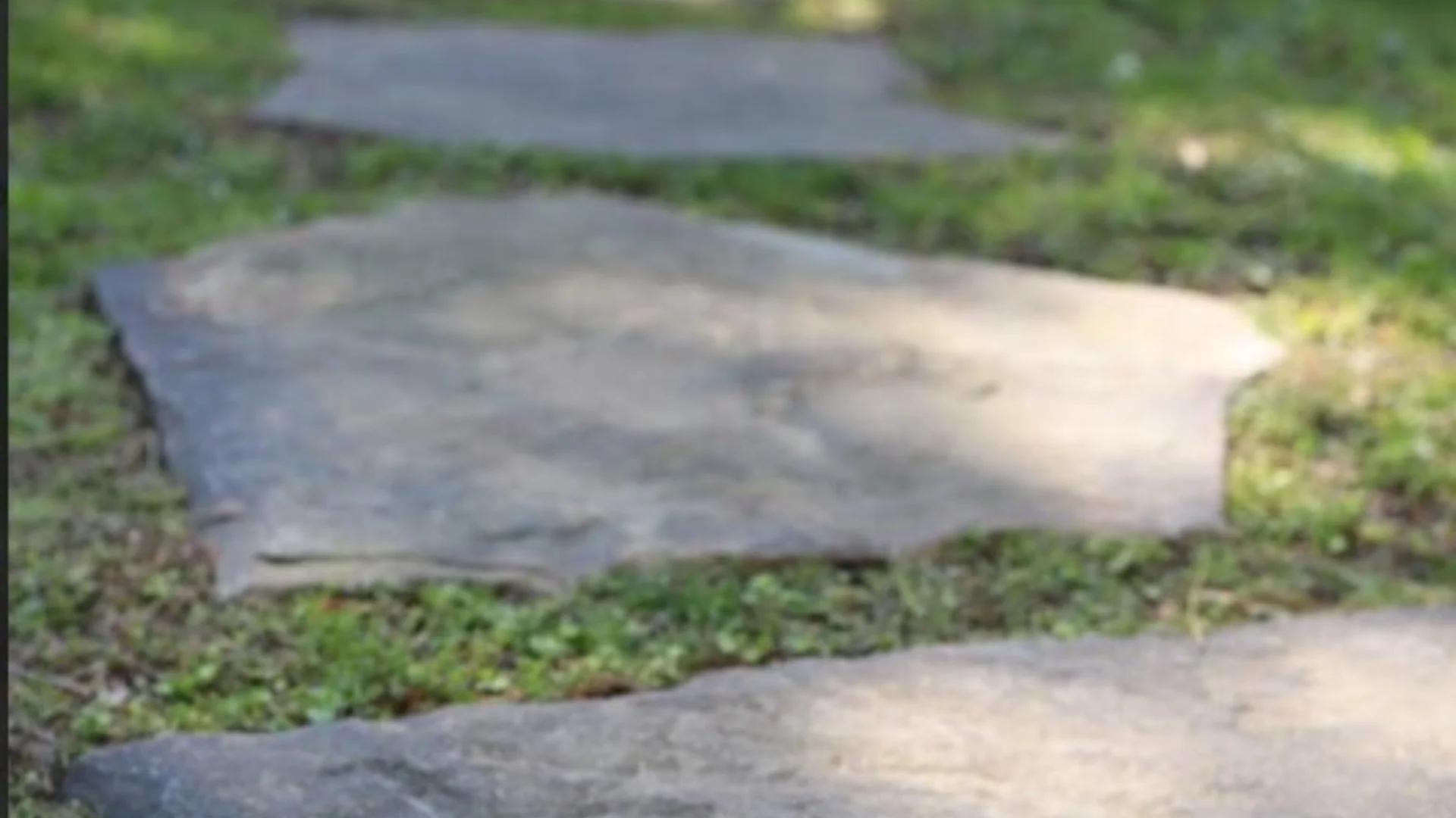 Stone walkway in the grass.