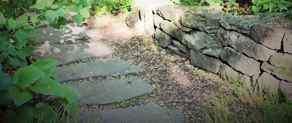 Stepping stones pathway on residential property in Chevy Chase, MD.