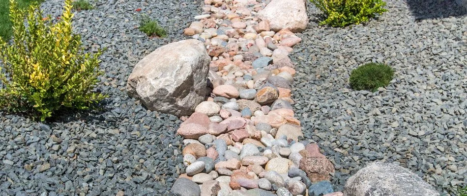 Dry stream bed with rocks and plants in Chevy Chase, MD, for drainage.