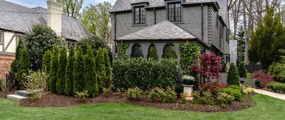 Green shrubs and trees in landscaping.