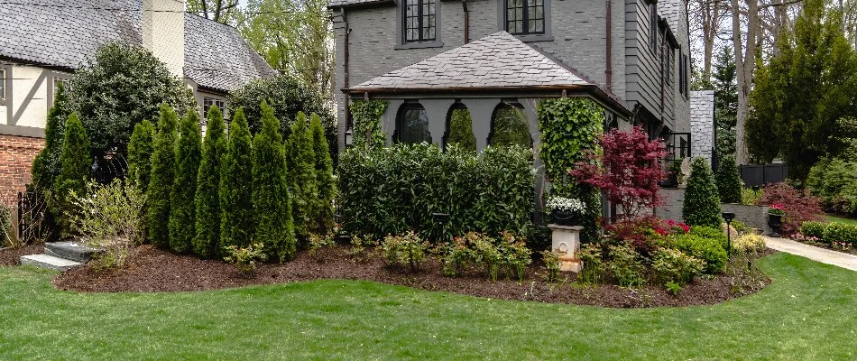 Landscape bed in Aspen Hill, MD, with shrubs, mulch, and flowers.