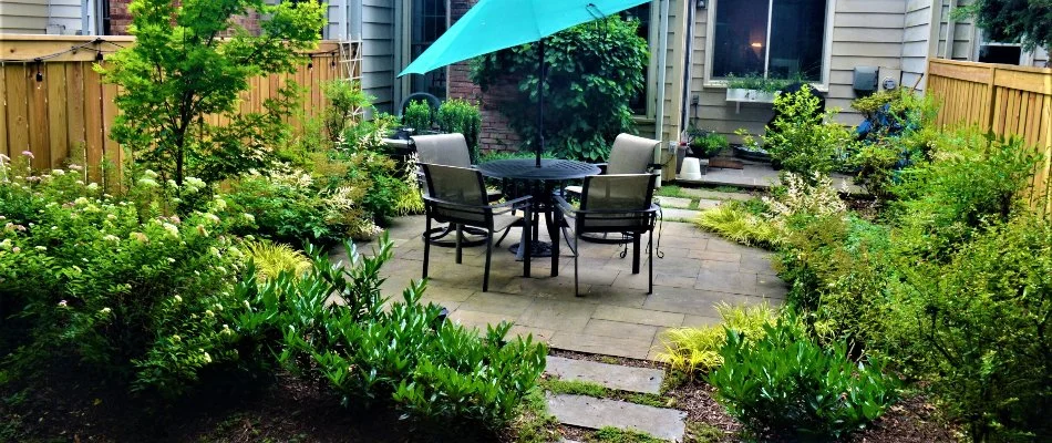 Landscape with shrubs, flowers, plants, around a patio in Bethesda, MD.