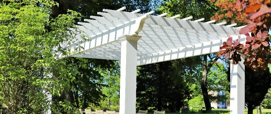 Pergola painted white beside a pool in Chevy Chase, MD.