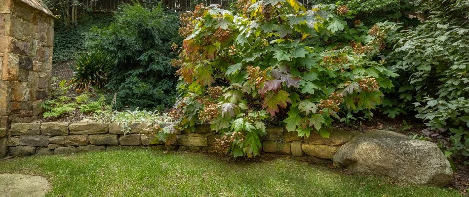 A dry stacked stone retaining wall on a property in Chevy Chase, MD.