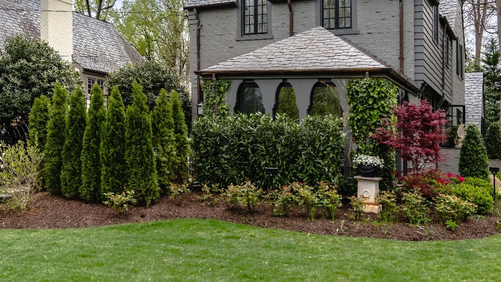 Side yard landscaping with plants and mulch.