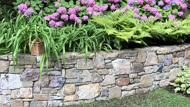 Stone retaining wall with a raised planter bed. 